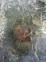 10 to 12 inchs deep.jpg