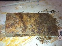 rusty on the bench.jpg