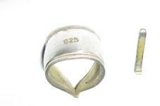 last silver 2011.jpg