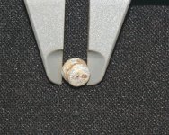 bullet Id 4.JPG