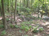 SEPT 3RD 2 MORE COPPERS 66 ON THE YEAR 003.jpg