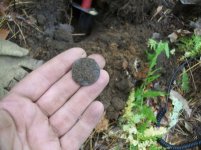 OCT 7TH 1785 CT COPPER & EAGLE BUTTON 023.jpg