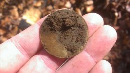 IMAG0669 (800x451).jpg