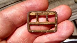 Resized-BXF1X (1).jpg