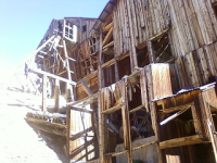 gold trip 002.jpg.png