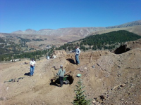 gold trip 013.jpg.png