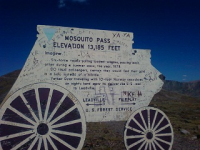 gold trip 018.jpg.png