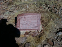 gold trip 019.jpg.png