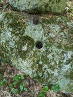 PXL_20230522_150930054 (1).jpg